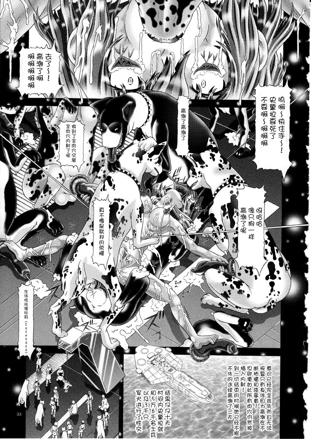 (C77) [Kaki no Boo (Kakinomoto Utamaro)] RANDOM NUDE Vol.5 92 〔STELLAR LOUSSIER〕 (Gundam Seed Destiny)【chinese】 33