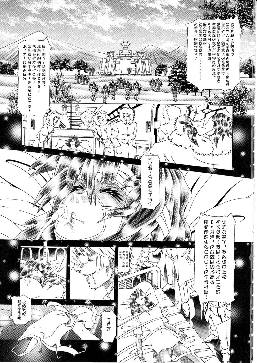 Hot Girls Getting Fucked (C77) [Kaki no Boo (Kakinomoto Utamaro)] RANDOM NUDE Vol.5 92 〔STELLAR LOUSSIER〕 (Gundam Seed Destiny)【chinese】 - Gundam seed destiny Sapphic Erotica - Page 4