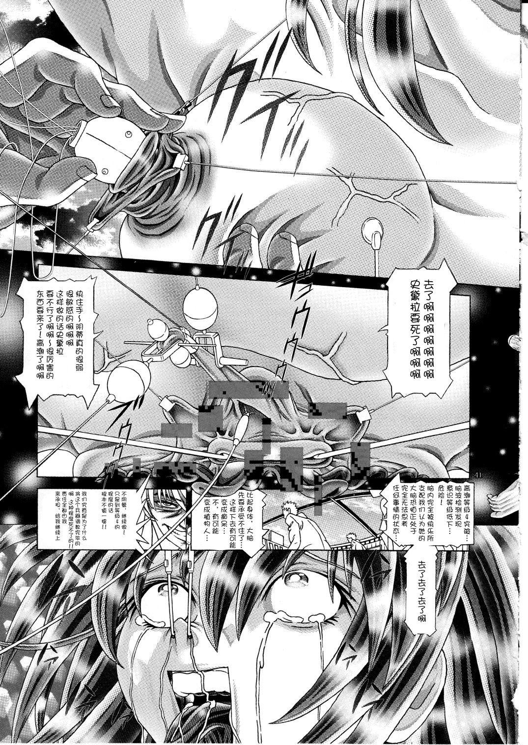 (C77) [Kaki no Boo (Kakinomoto Utamaro)] RANDOM NUDE Vol.5 92 〔STELLAR LOUSSIER〕 (Gundam Seed Destiny)【chinese】 41