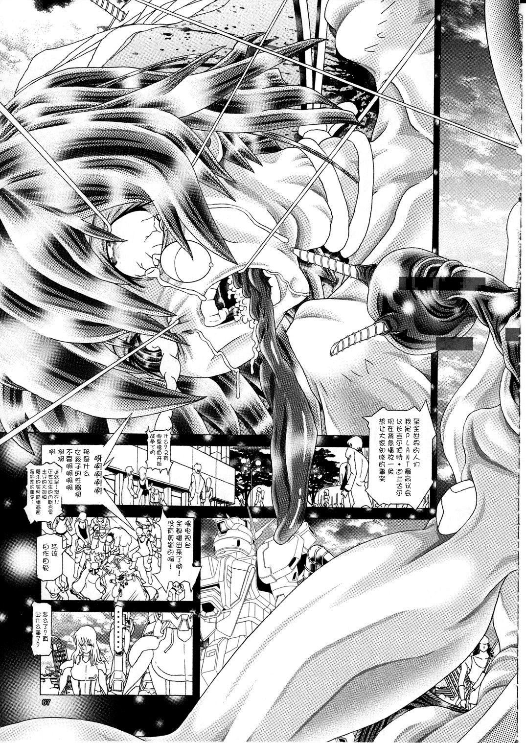 (C77) [Kaki no Boo (Kakinomoto Utamaro)] RANDOM NUDE Vol.5 92 〔STELLAR LOUSSIER〕 (Gundam Seed Destiny)【chinese】 67