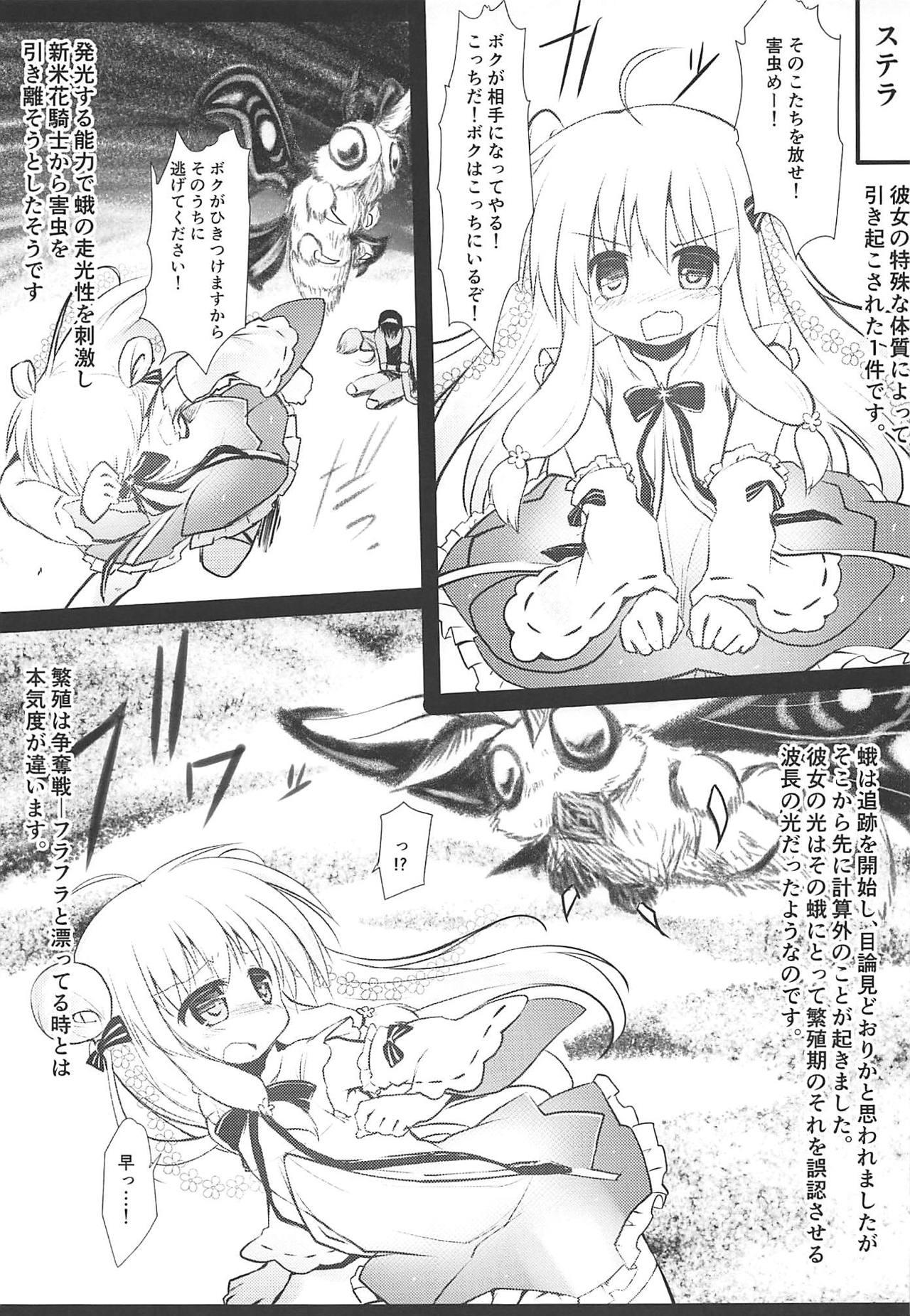 Guyonshemale Gaichuu Higai Houkokusho File 3 - Flower knight girl Teenporn - Page 4