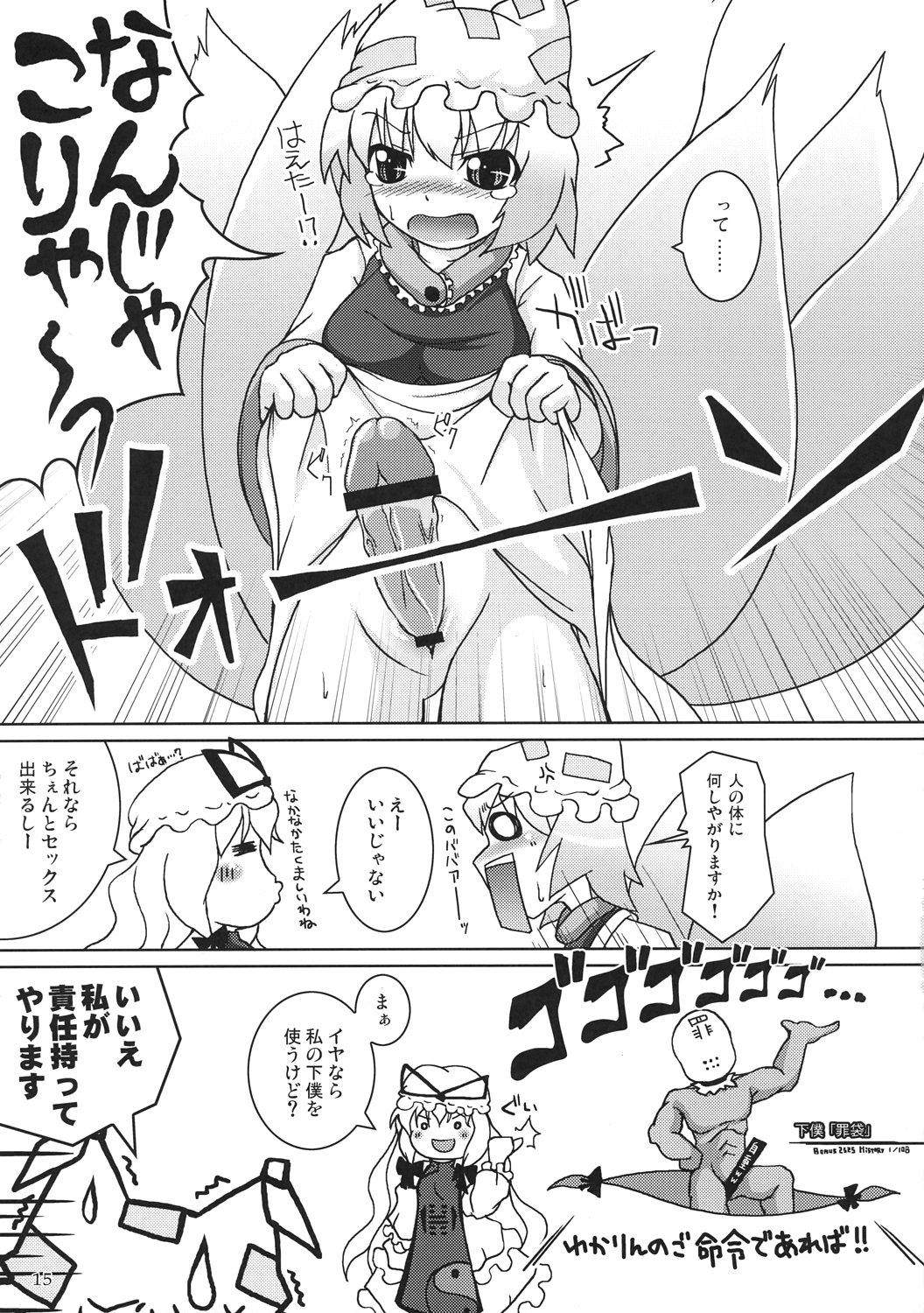 Touhou Shikigami Ijiri 15