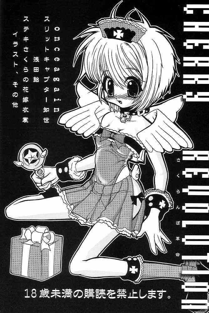 Dildo Sakuranbo Kakumei - Cardcaptor sakura Face Sitting - Page 3