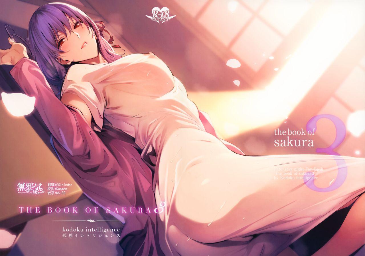 Step Mom THE BOOK OF SAKURA 3 - Fate stay night Tribbing - Picture 1