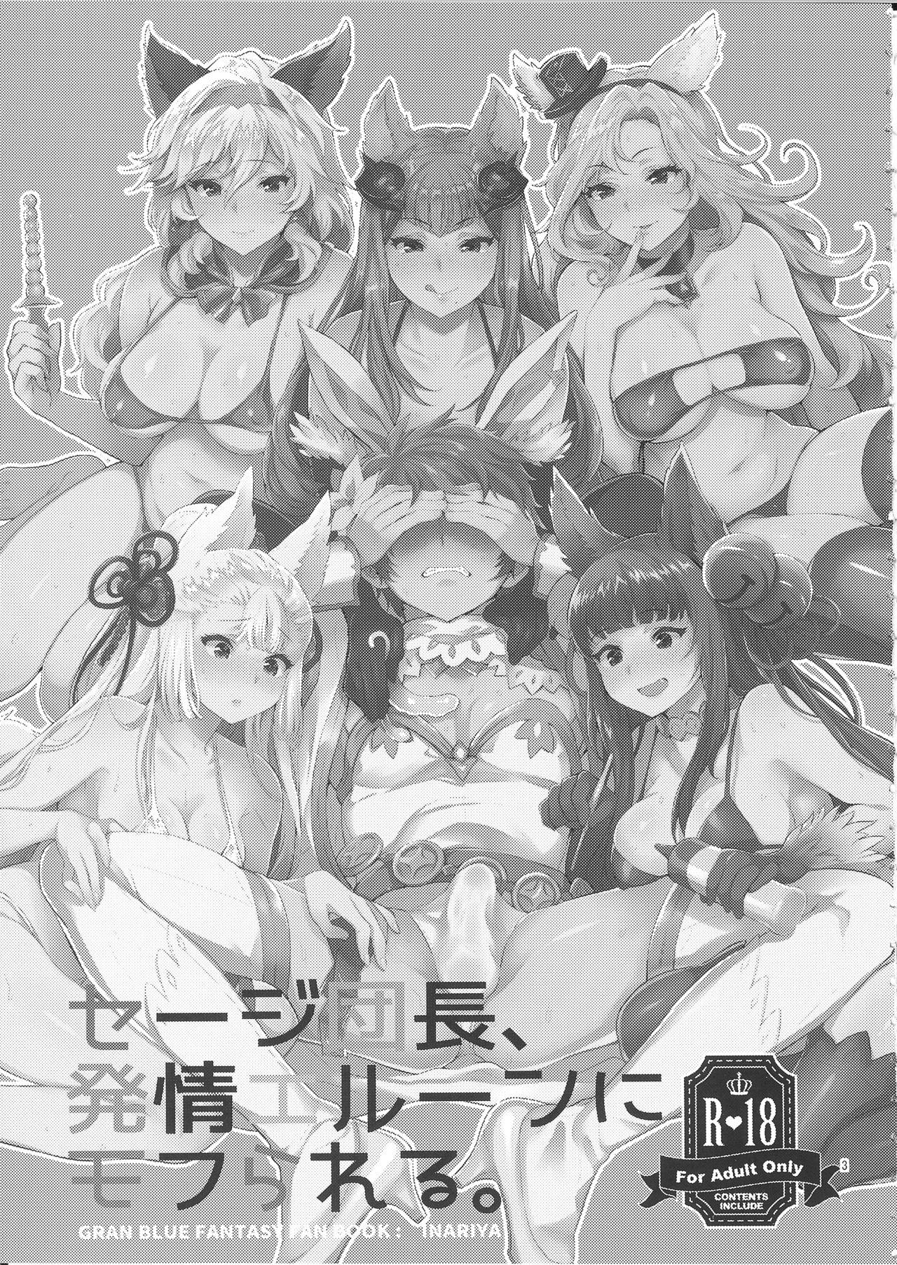 Groupsex Sage Danchou, Hatsujou Elune ni Mofurareru. - Granblue fantasy Nena - Page 2