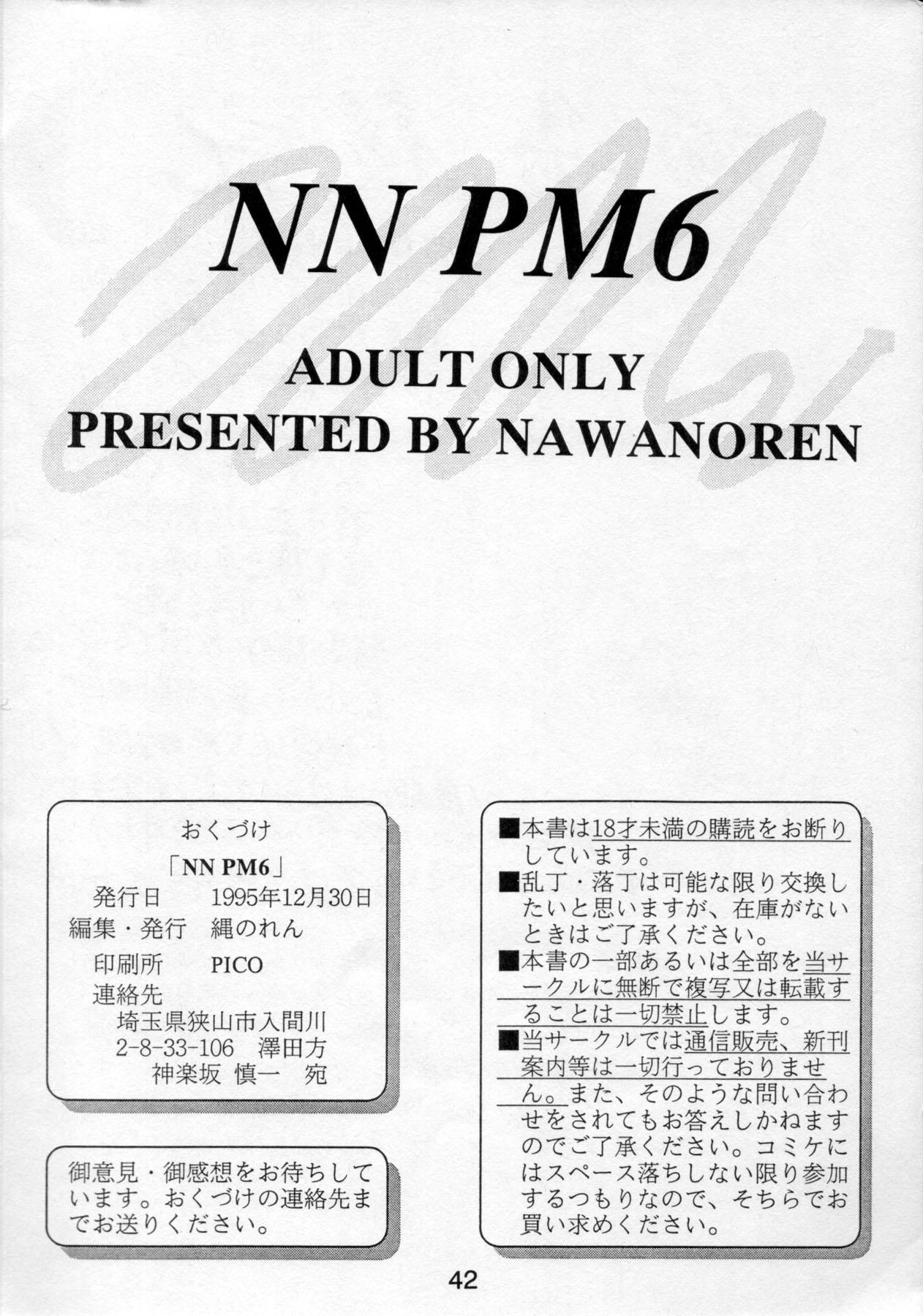 NN PM6 40