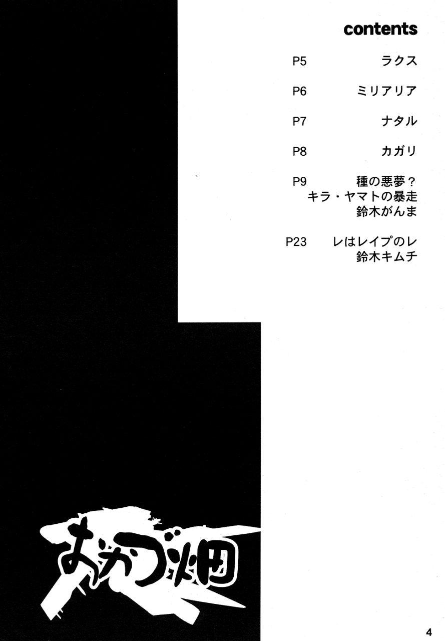 Sex Toys Okadu Hatake - Gundam seed HD - Page 3