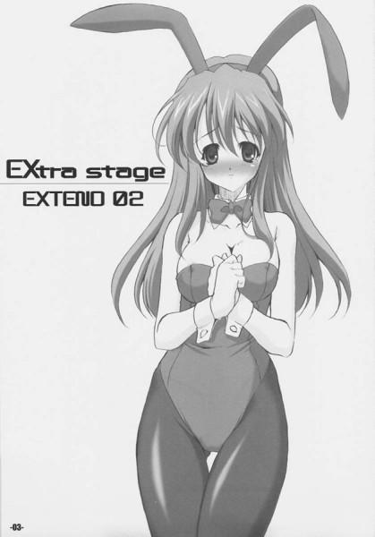 Perfect EXtra stage EXTEND 02 - Fate stay night Black Gay - Page 2