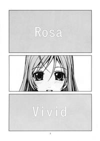 RV - Rosa Viva 3