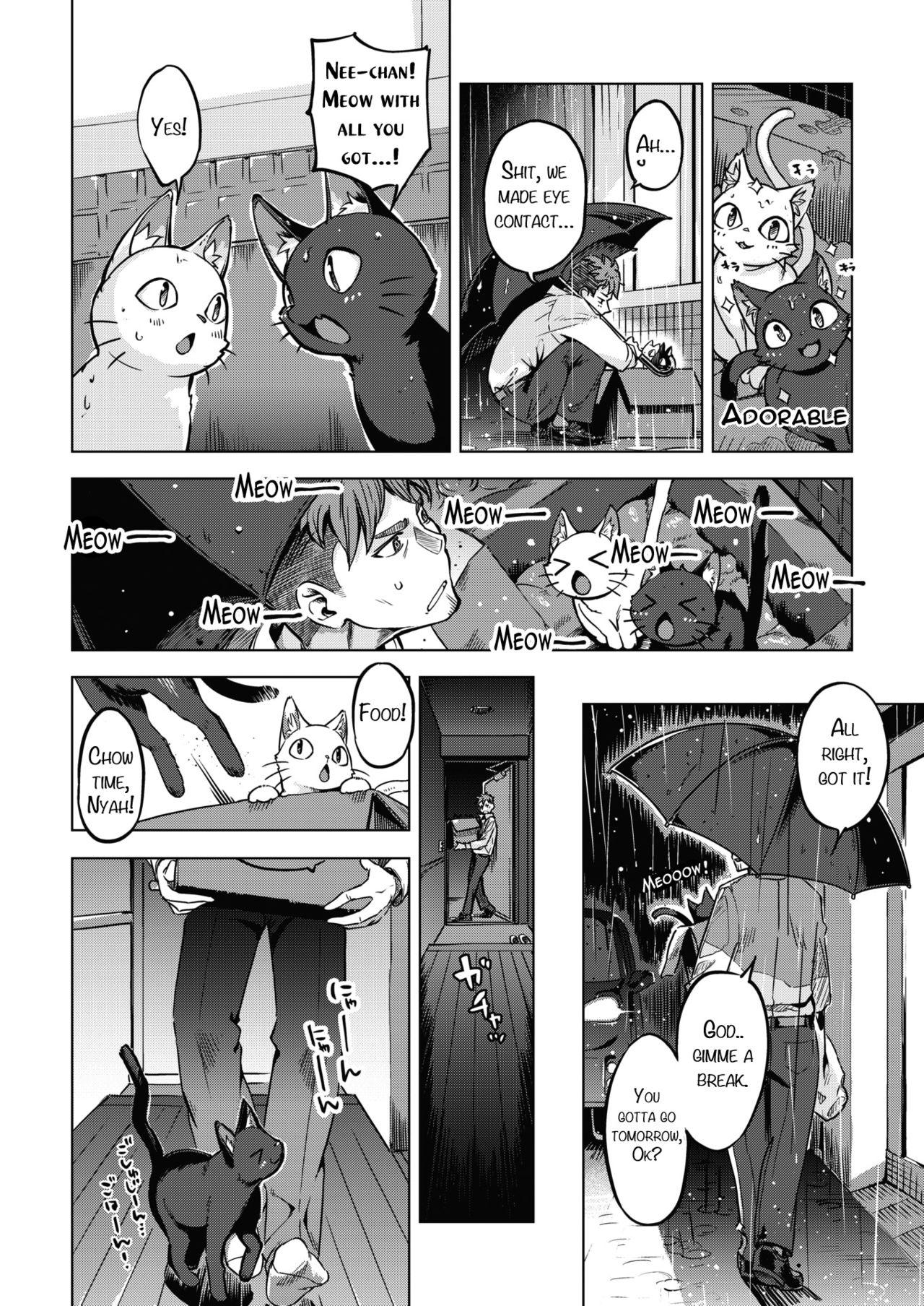 Cum Inside Oshikake Nyanko | Unwanted Kitties Plumper - Page 4