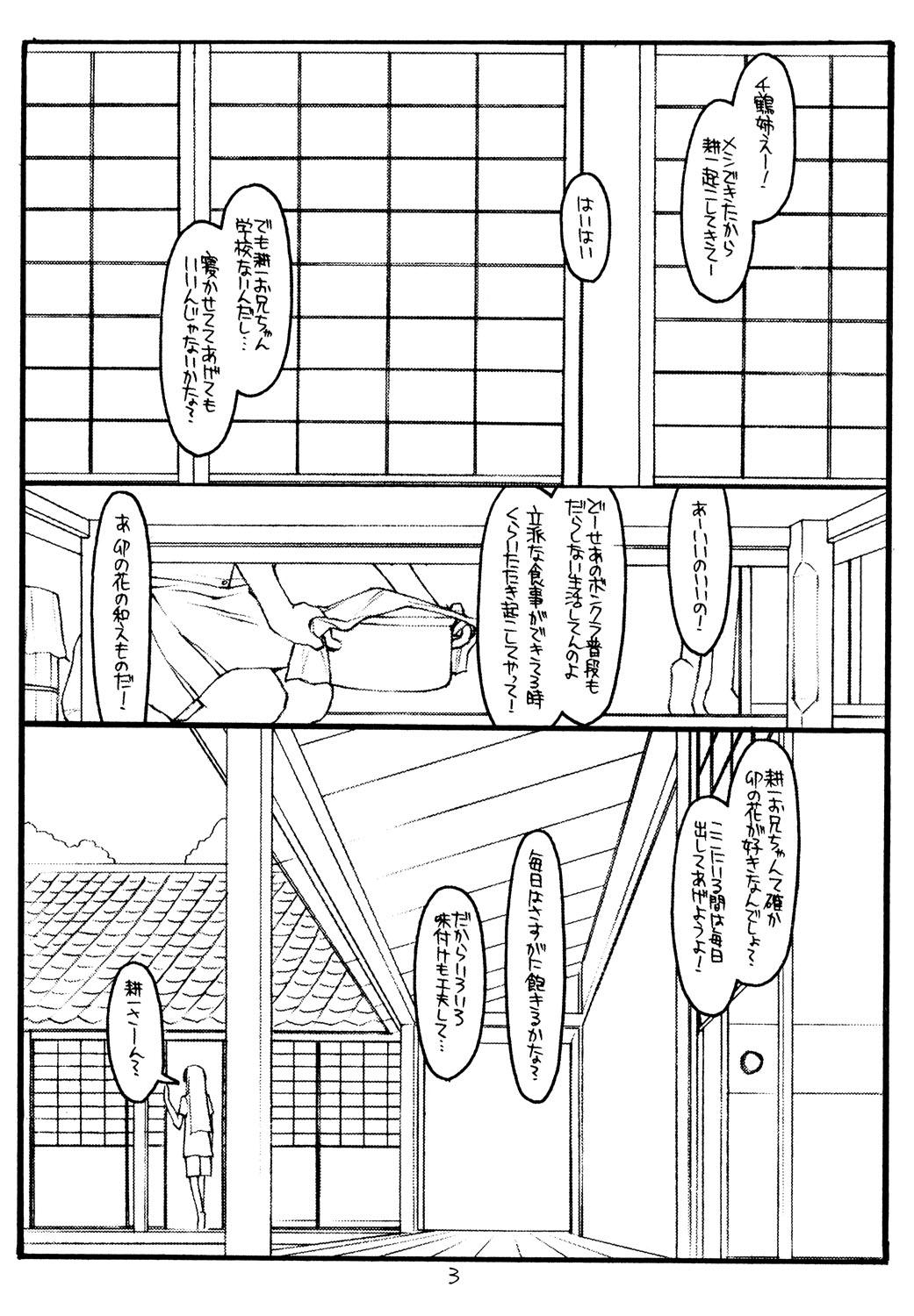 Bottom Kizuna - Kizuato Blonde - Page 2