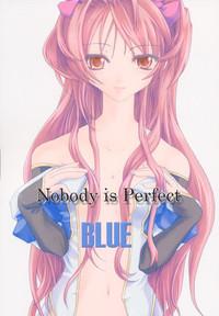 Nobody is Perfect 1