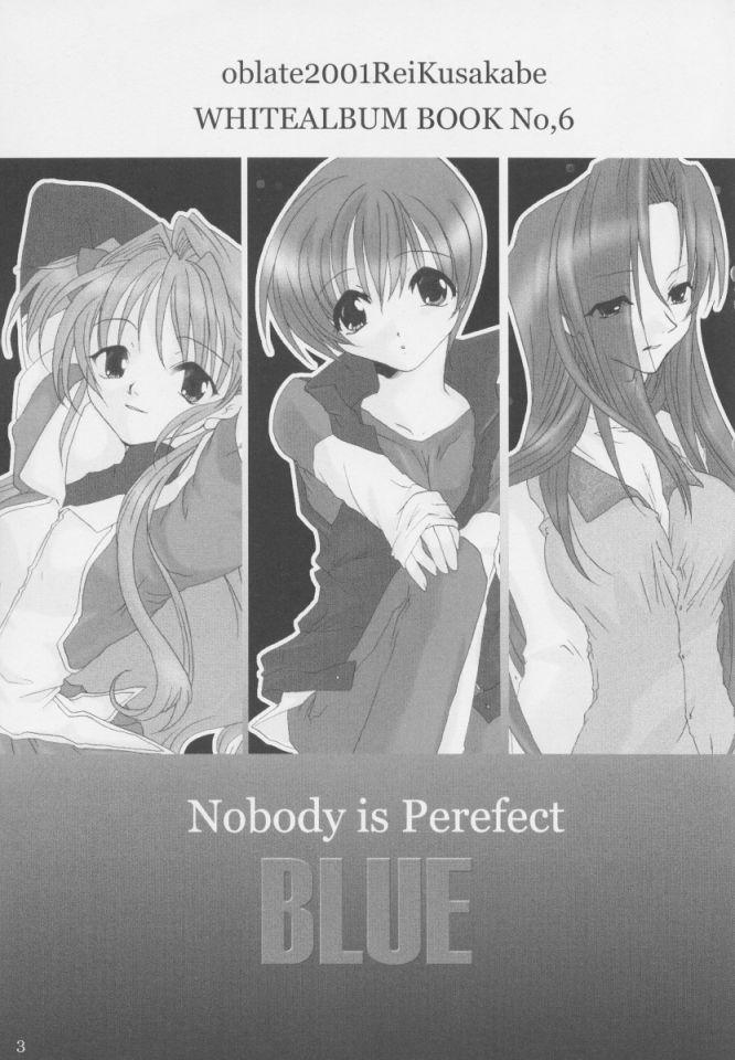 Nobody is Perfect 1