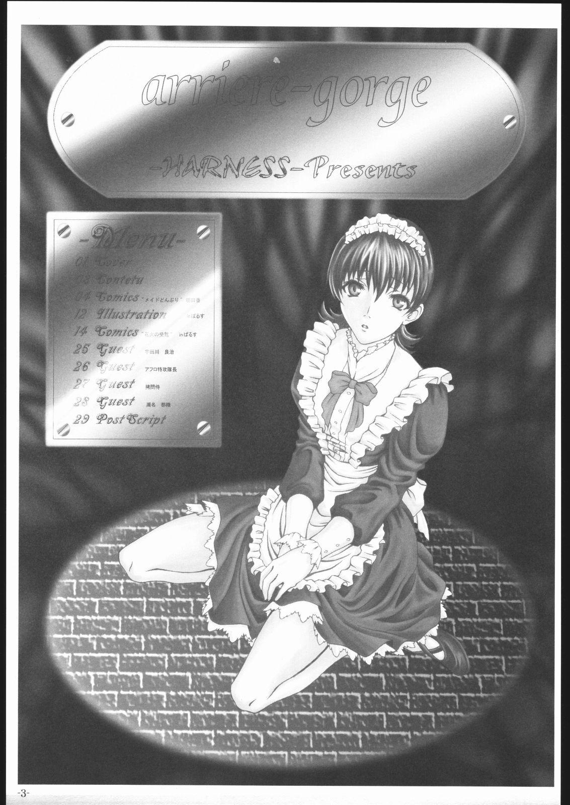 Verification arriere-gorge - Sakura taisen Transexual - Page 2