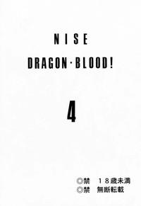 NISE Dragon Blood! 4 2