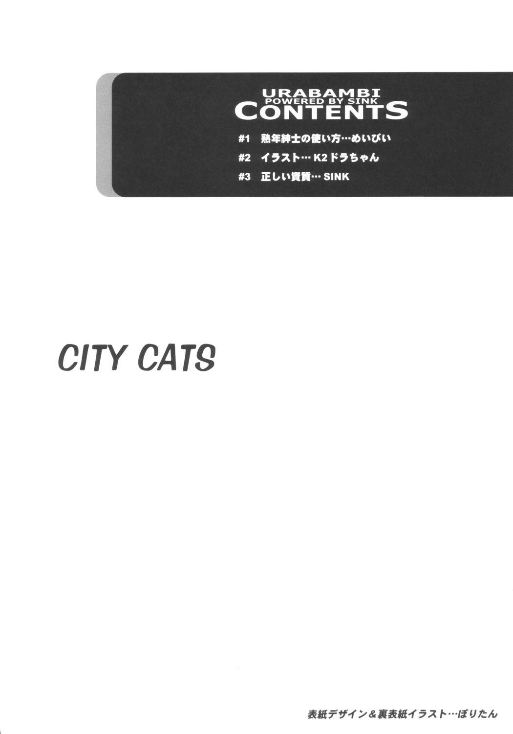 Rough Porn Urabambi Vol. 21 - City Cats - Kikis delivery service Letsdoeit - Page 3