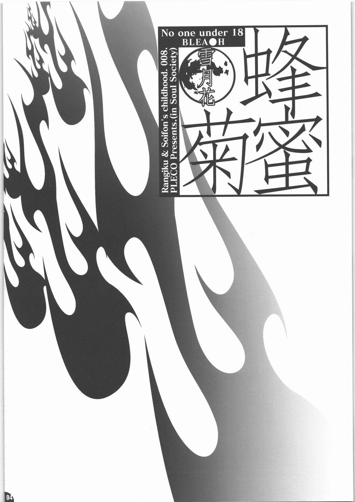 Porra Hachimitsu Kikumitsu ～ Setsugekka ～ - Bleach Nalgona - Page 3