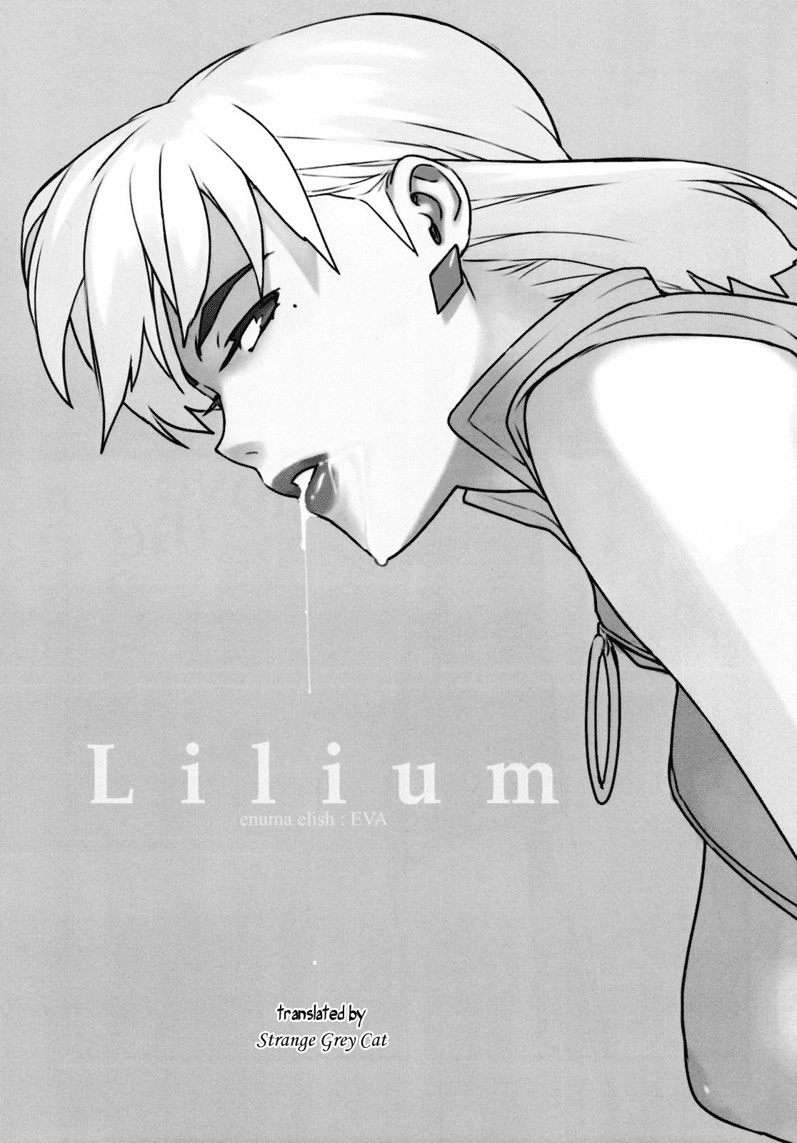 Lilium 3