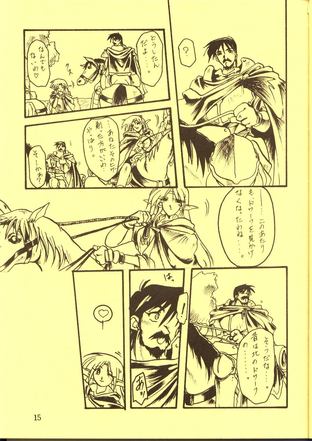 Assfucked DIEDLIT 2 - Record of lodoss war Hot Wife - Page 14