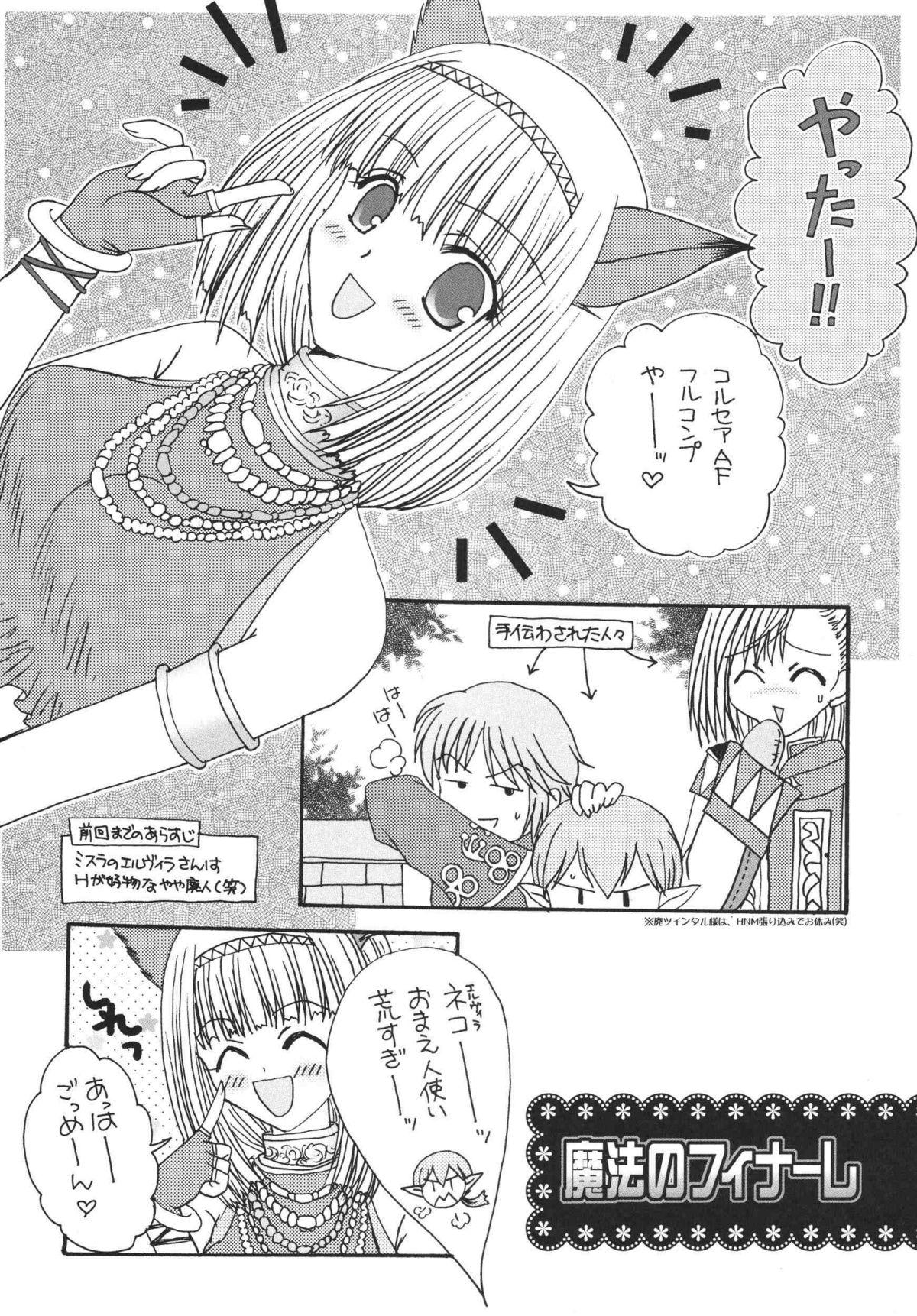 Misueru Milk - Mithra and Elvaan Ver. 29