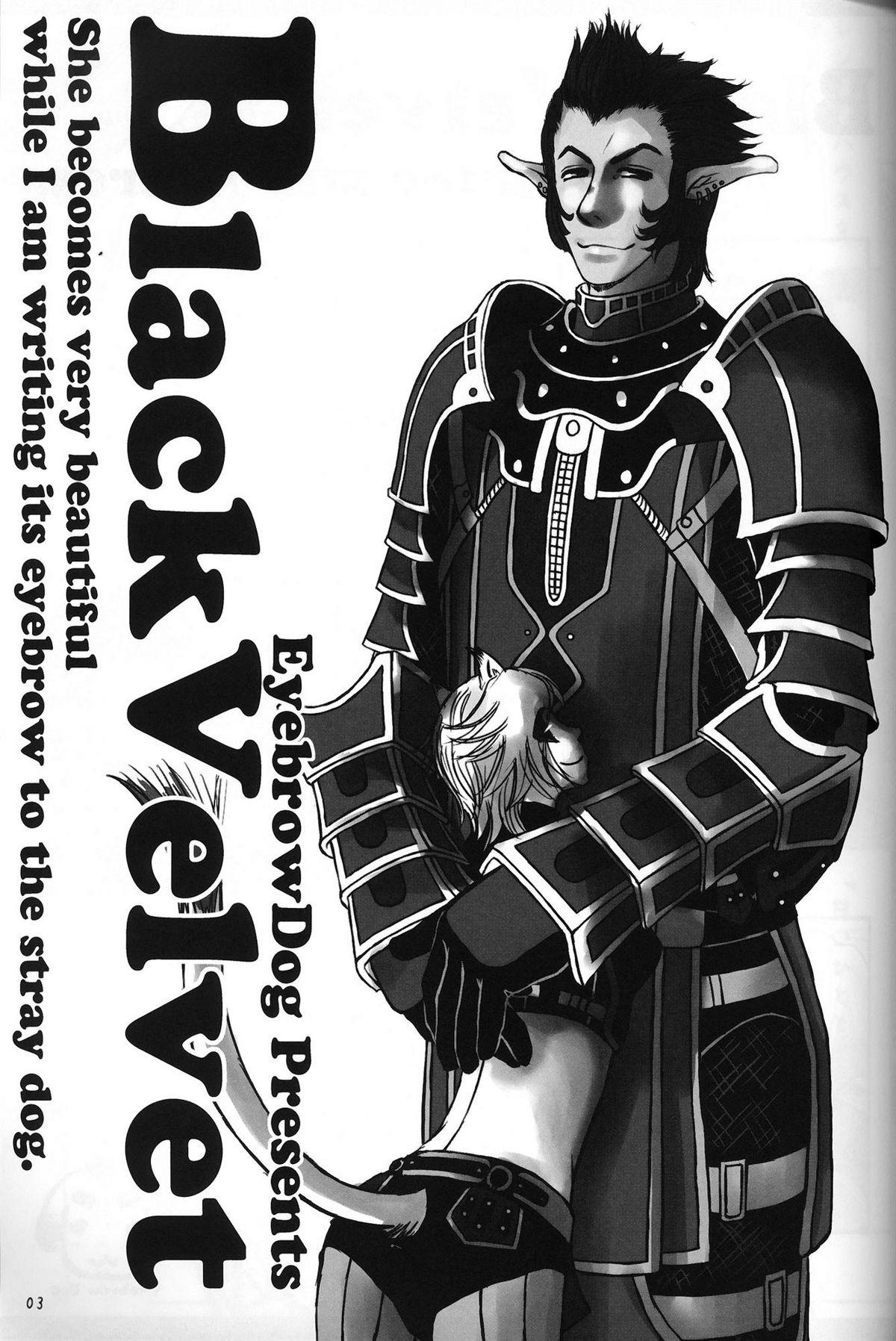 Masturbacion Black Velvet - Final fantasy xi Blacksonboys - Page 2