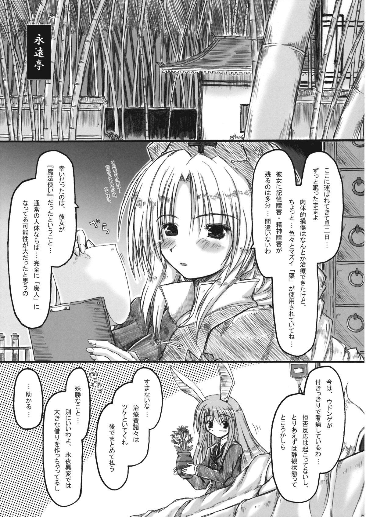 Cock Kowareru Niji - Hiun no Yume, Modori - Touhou project Pounded - Page 28