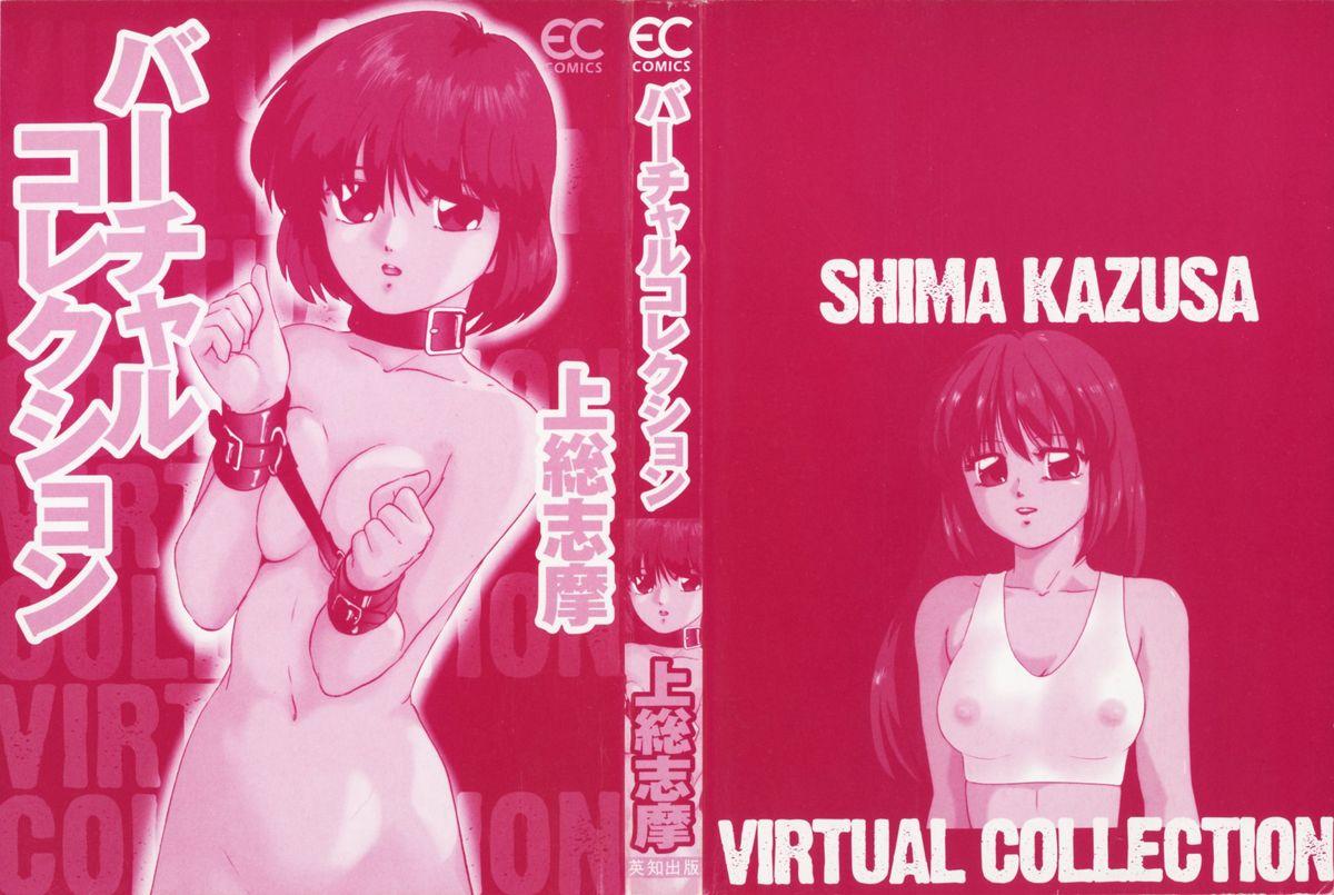 Virtual Collection 1