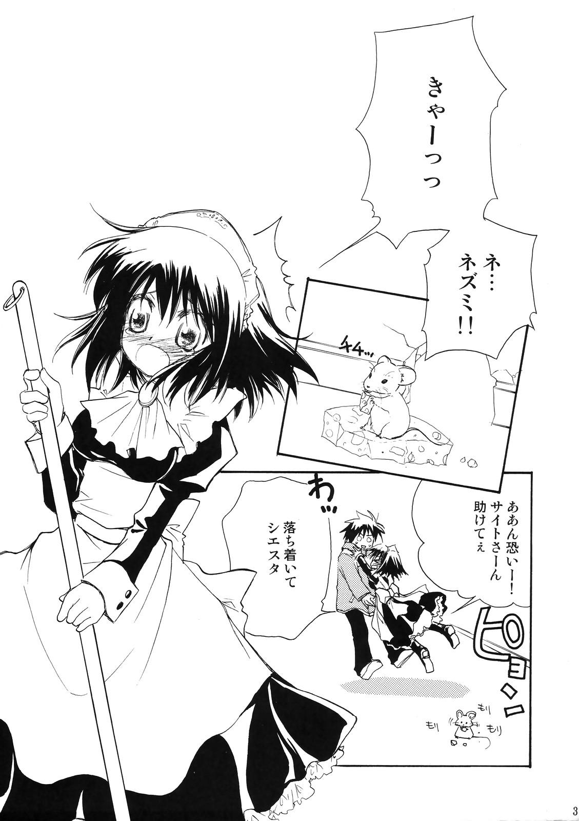 Busty Suki tte itte tte itte! - Zero no tsukaima Step Fantasy - Page 2