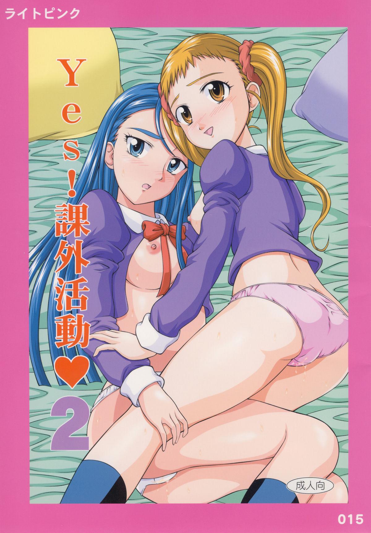 Sensual YES! Yes! Kagai Katsudou 2 - Pretty cure Yes precure 5 Letsdoeit - Picture 1