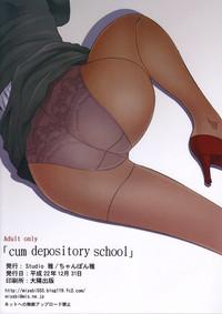 Cum Depository School 2