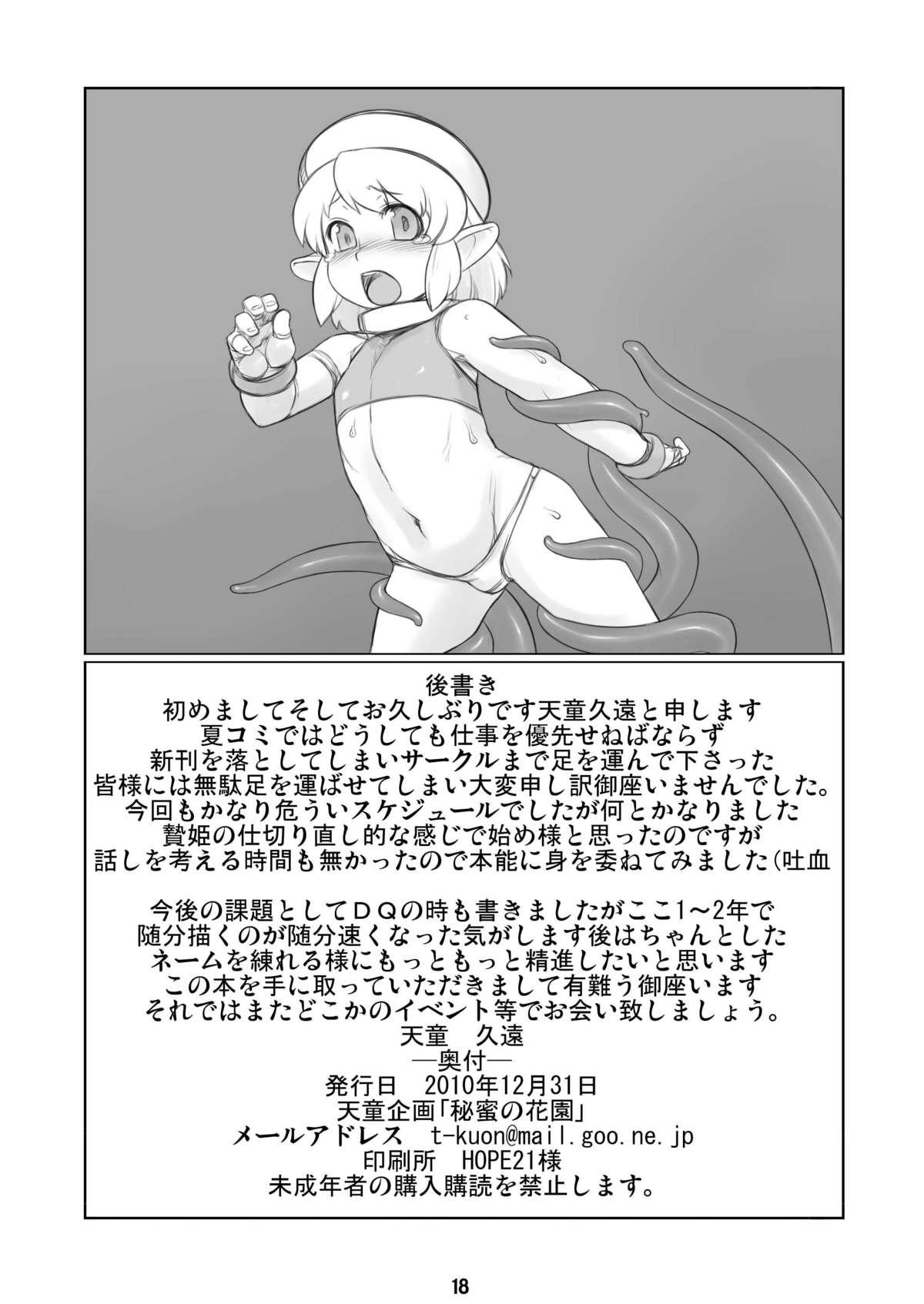 Glamcore Himitsu no Hanazono Novia - Page 18