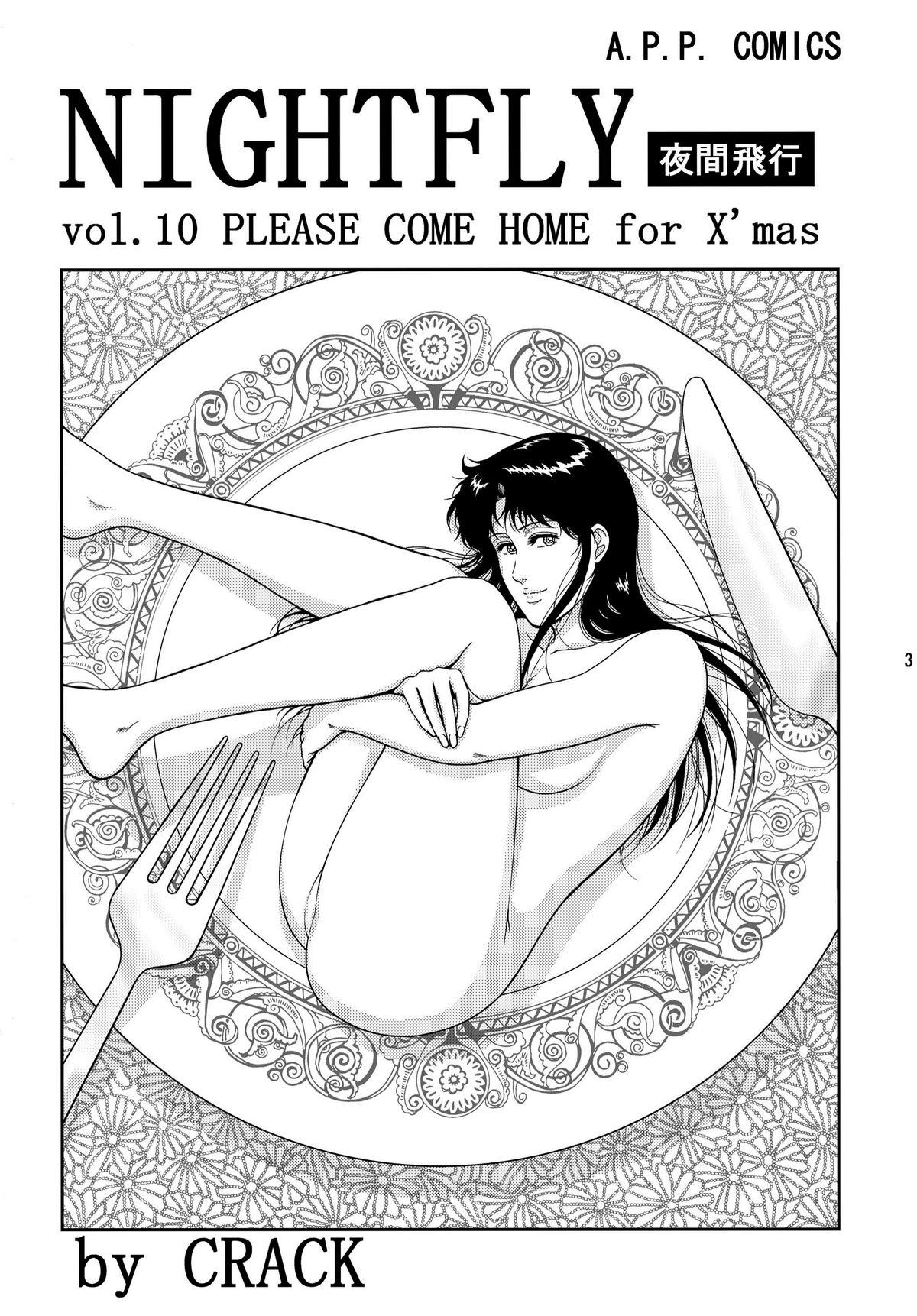 NIGHTFLY vol.10 PLEASE COME HOME for X'mas 2