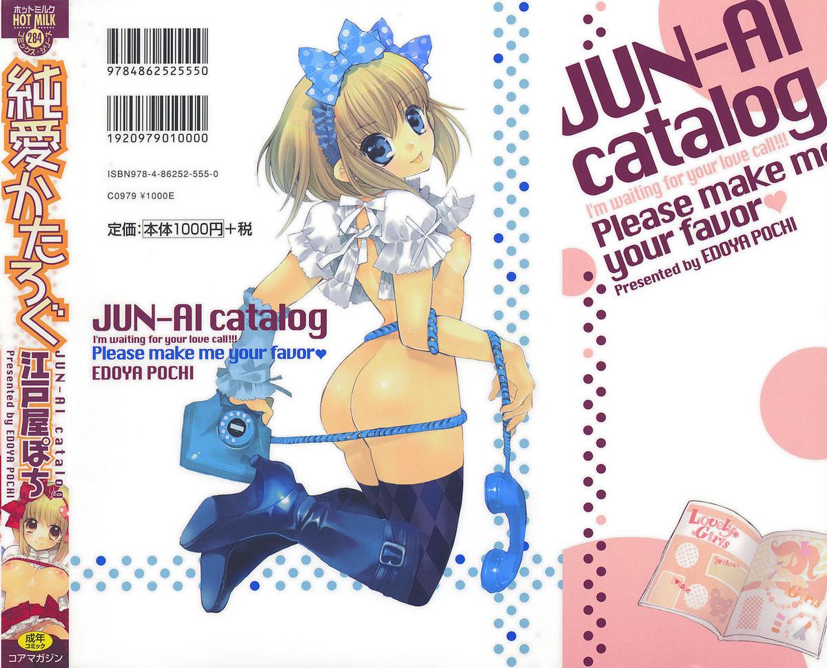 JUN-AI catalog 3