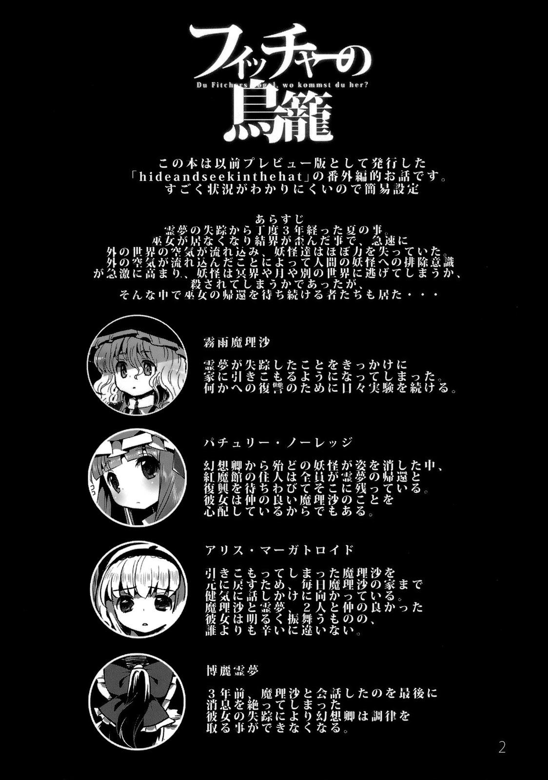 Time Fitcher no Torikago - Touhou project Banging - Page 3