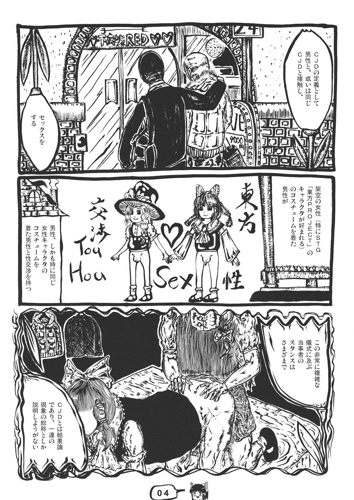 Gay Shorthair CJDG2 - Touhou project Hermana - Page 4