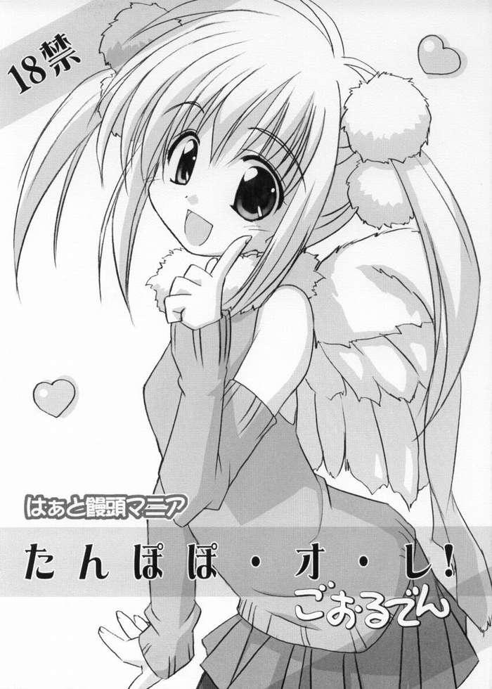 Phat (C65) [Heart Manju Mania (Akata Izuki, Matsumori Shou)] Tanpopo-O-Re! Golden (Mirmo de Pon!) - Mirmo de pon Mujer - Page 1