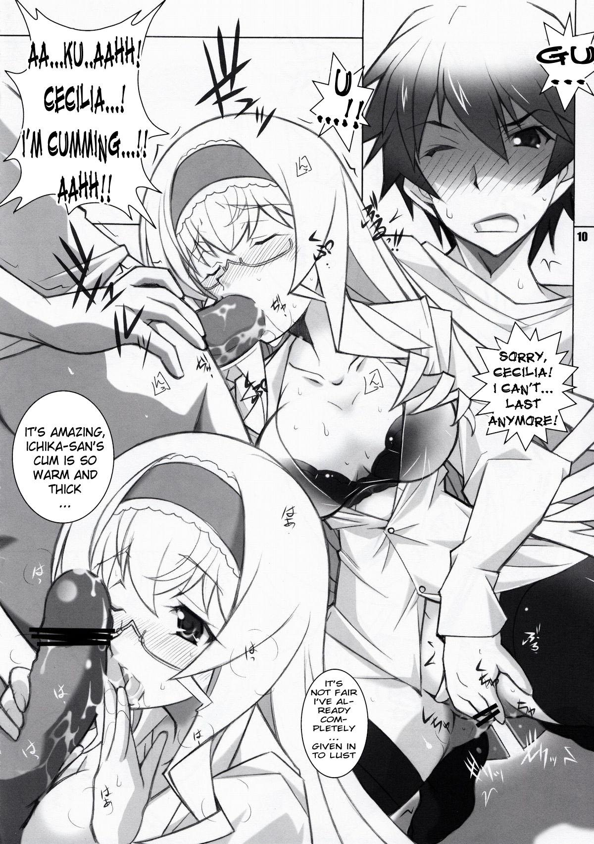 Thylinh SH - Infinite stratos Brother Sister - Page 9