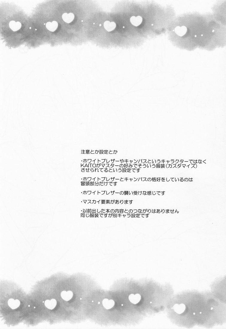 Beach Hitori wa Samishikute Nemurenakute - Vocaloid Close Up - Page 3