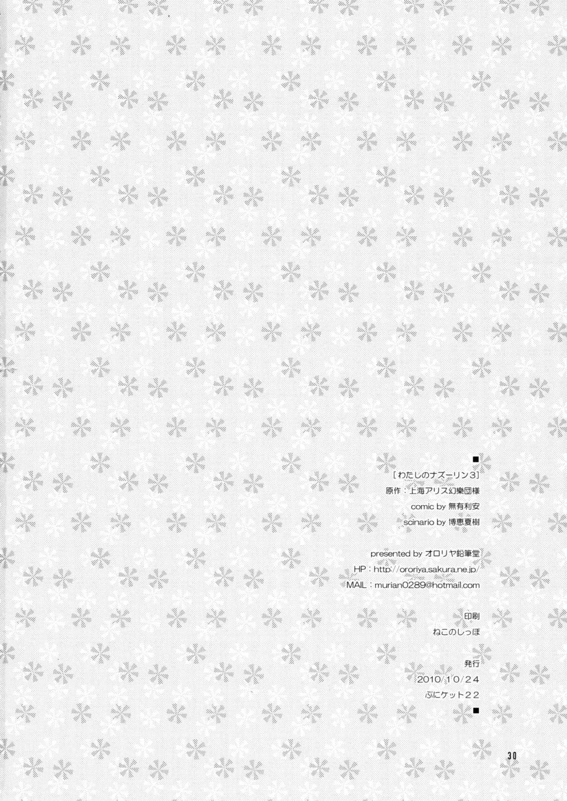 Cogida Watashi no Nazrin 3 - Touhou project Amature - Page 29