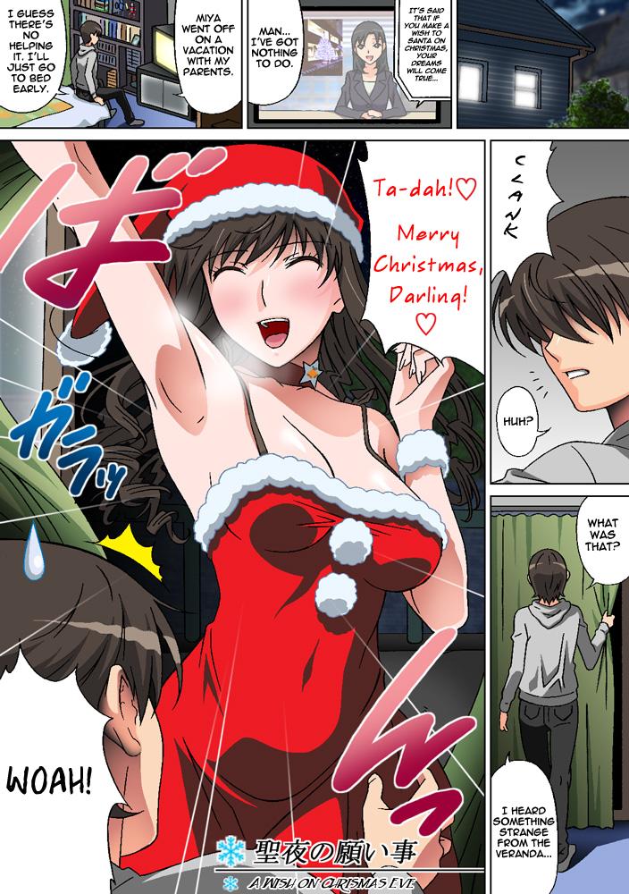 Seiya no Negaigoto | A Wish on Christmas Eve 0