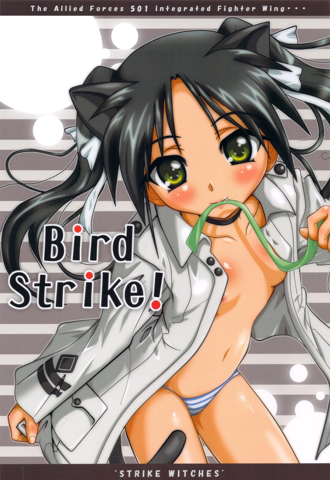 Bird Strike! 0
