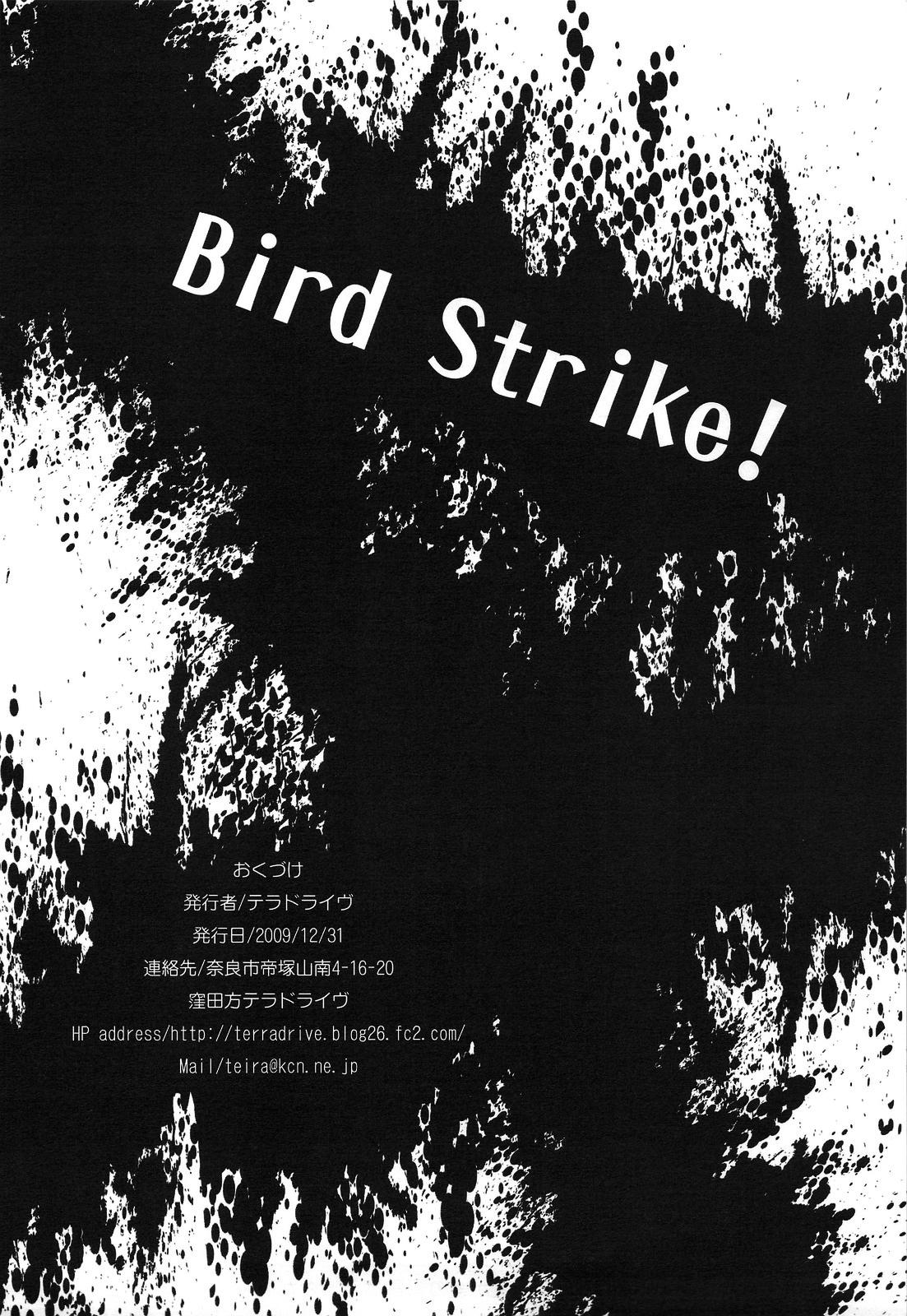 Bird Strike! 25