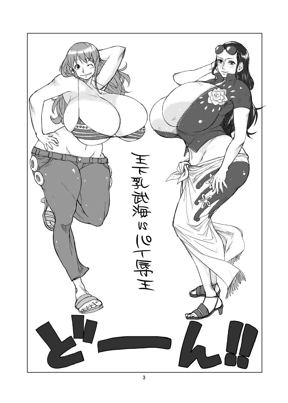 Ssbbw Hybrid Tsuushin Vol.07 - One piece Amateurs Gone - Page 2