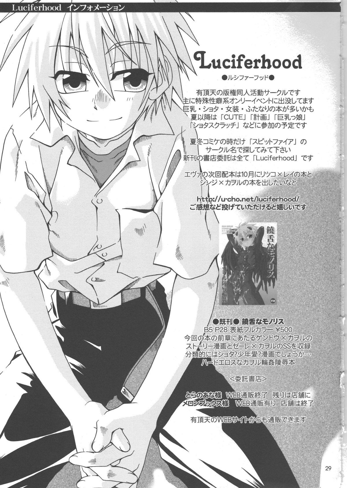 Porno Amateur Hoshi no kazu hodo - Neon genesis evangelion Made - Page 29