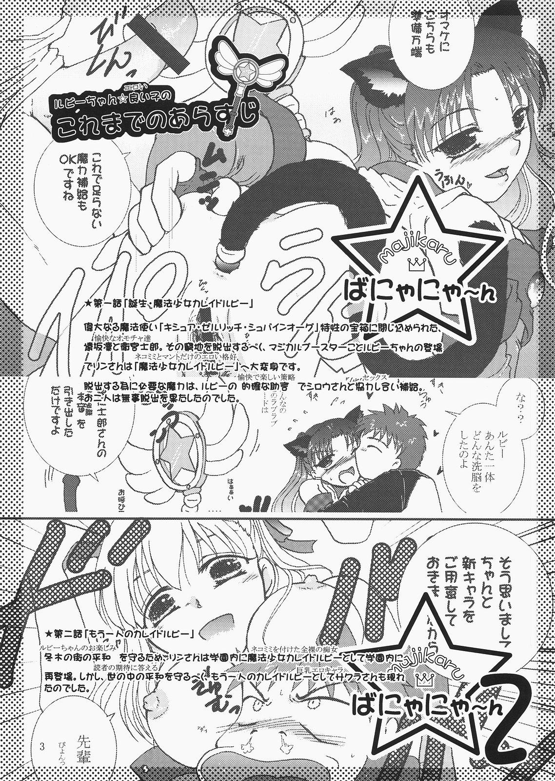 Japan Magical Bunny Nyan 4 - Fate hollow ataraxia Cfnm - Page 2