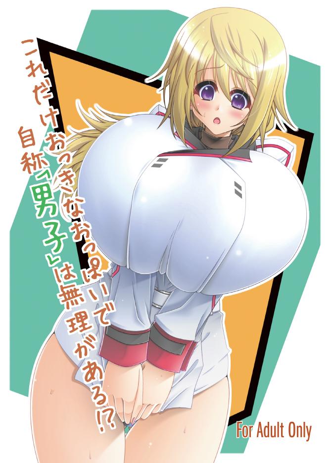 Analplay With huge boobs like that how can you call yourself a guy? - Infinite stratos Chilena - Page 1