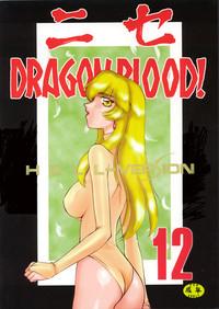 Nise Dragon Blood! 12 1