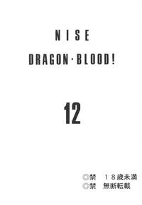 Nise Dragon Blood! 12 2