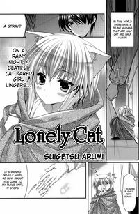 Lonely Cat 0