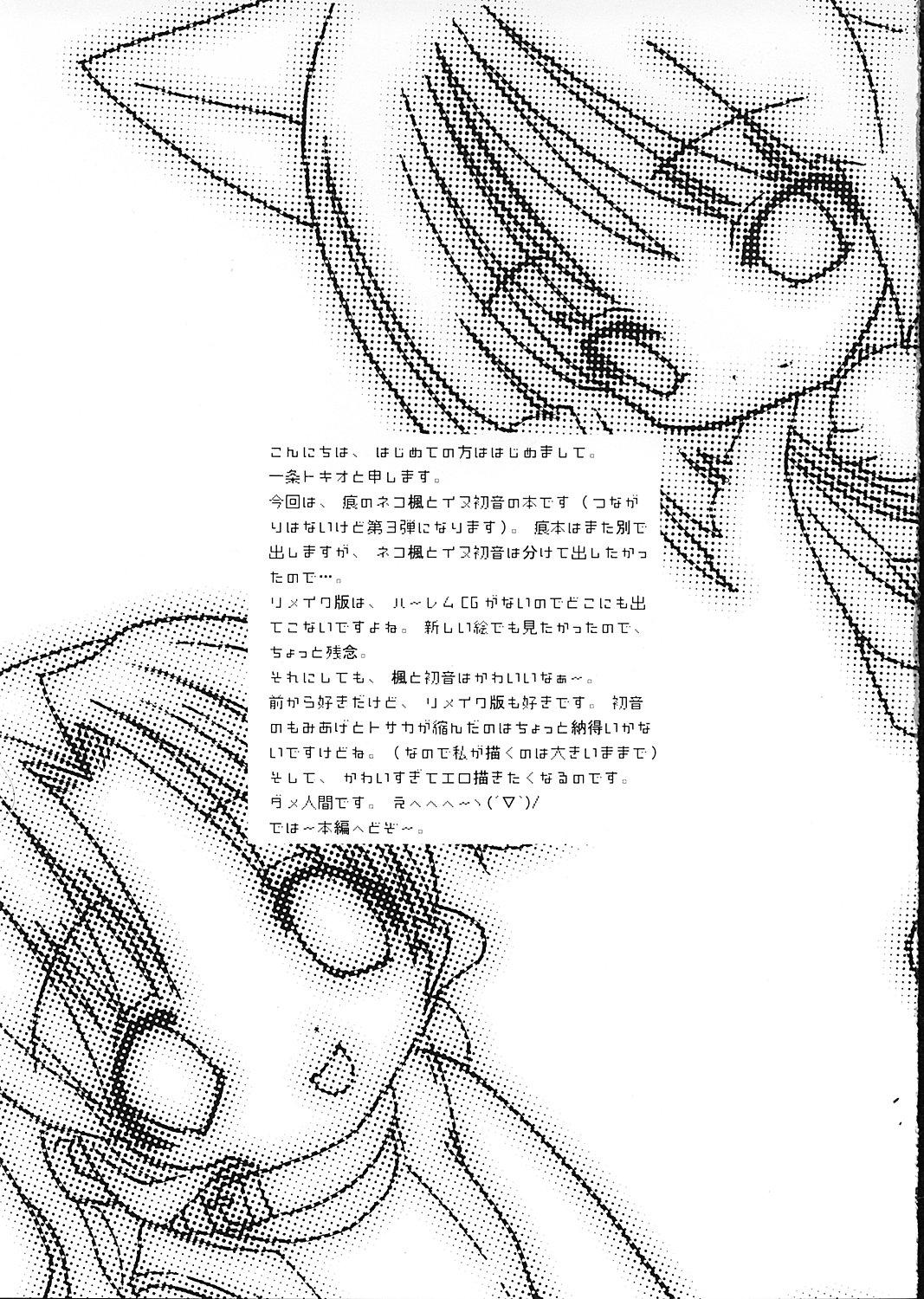 Threesome HELLO AGAIN - Kizuato Teen Blowjob - Page 5